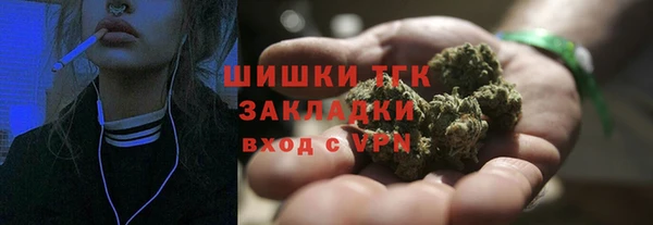 спайс Пересвет
