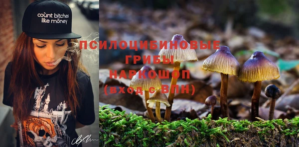 ПСИЛОЦИБИНОВЫЕ ГРИБЫ Абдулино