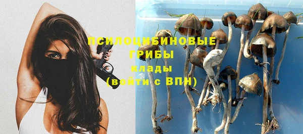 марки nbome Абаза