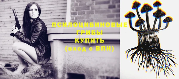 spice Пестово