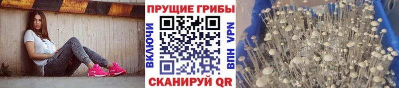 Псилоцибиновые грибы мухоморы  Ипатово 
